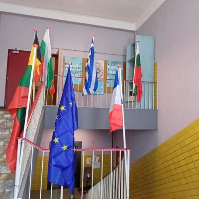 Erasmus corn 5