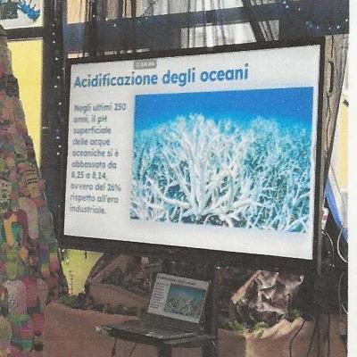 Ita exper 13