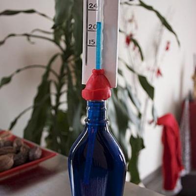 Thermometre 1